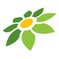 BONSAIBOLA